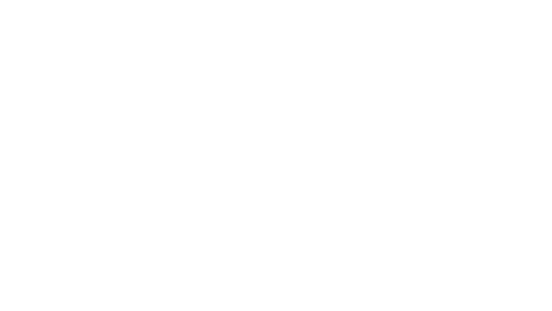 Davis & Lagerman, LLC Logo